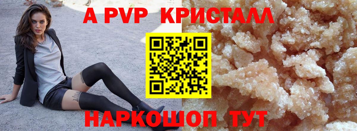 A PVP СК КРИС Тверь
