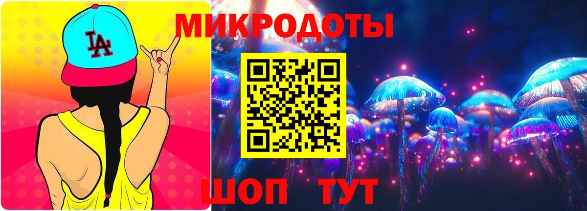 Псилоцибиновые грибы прущие грибы Тверь